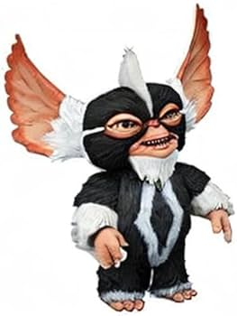 41l4uixA+oL._AC_UF350,